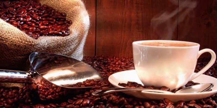 Gobierno dice café dominicano rompe récords en exportaciones