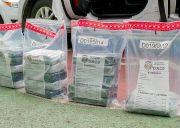 Autoridades se incautan de 205 kilos de cocaína en Boca Chica