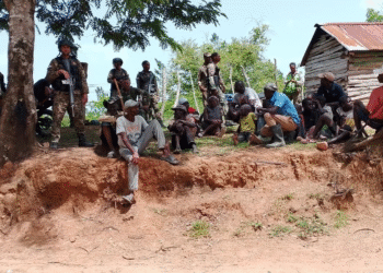 DAJABON: Ejército detiene a 23 haitianos depredaban zona rural