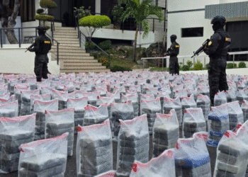 DNCD ocupa tonelada y media de cocaína en costa Pedernales