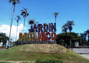 Garantiza el Botánico no será mutilado; construirán un túnel