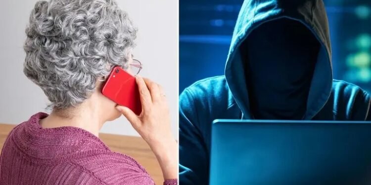 Desde la RD estafaron a cientos de ancianos en Estados Unidos