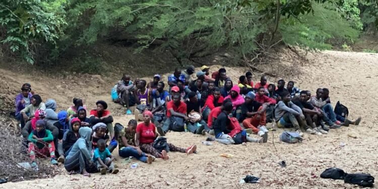 ERD detuvo en agosto a 15,625 haitianos indocumentados