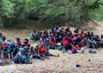 Migración dice haber devuelto 250 mil 741 haitianos este año