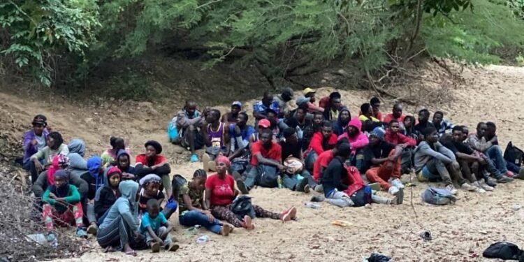 Migración dice haber devuelto 250 mil 741 haitianos este año