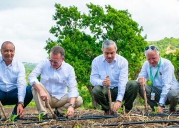 Gobierno inicia en Santiago la cosecha tabacalera 2025-2026