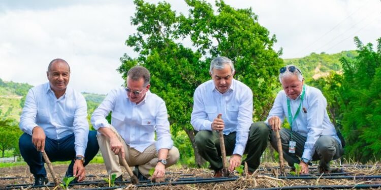 Gobierno inicia en Santiago la cosecha tabacalera 2025-2026
