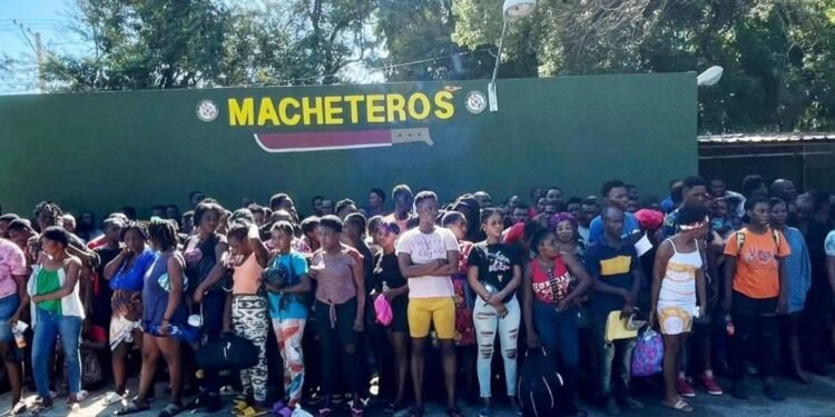 Ejército detiene a más de un centenar de haitianos indocumentados durante operativos en la Línea Noroeste* *_Montecristi_*