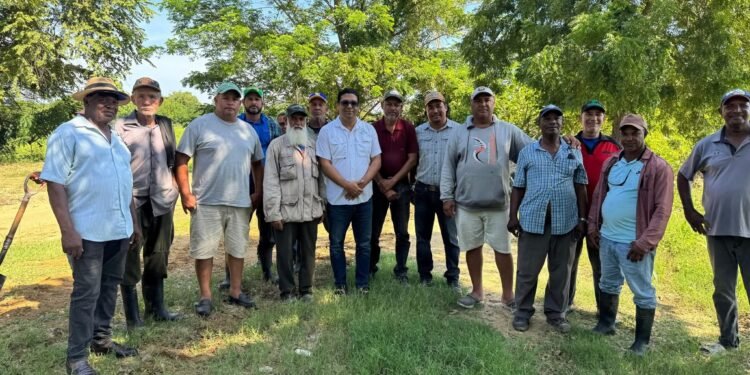 Senador Ney Rodríguez busca soluciones junto a productores de arroz de Dajabón*