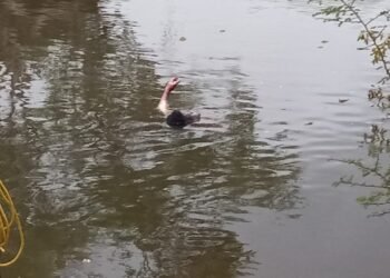 Encuentran cadáver de hombre en laguna de Dajabón