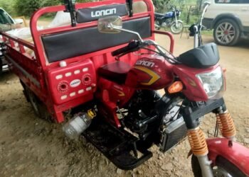 Ejército ocupa contrabando de más de 98 mil cigarrillos ocultos debajo de sacos de alimento para ganado en Dajabón*