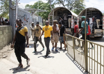 La DGM detuvo 2,258 haitianos ilegales y deportó a otros 2,454