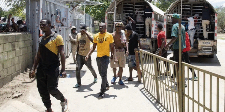 La DGM detuvo 2,258 haitianos ilegales y deportó a otros 2,454