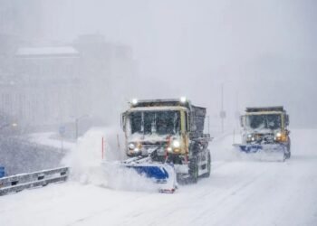 EU: 15 muertos y 800 mil sin electricidad por tormenta