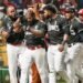 Leones avanzan a final beisbol RD; Aguilas y Toros empatan