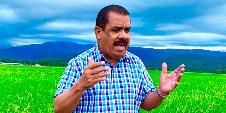 PLD ve acaparamiento del arroz origina reducción en consumo