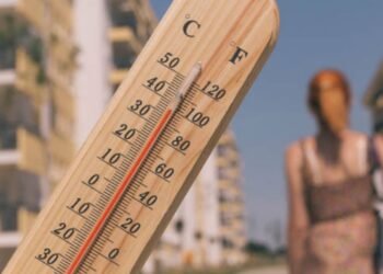 Europa registra 1.300 muertes adicionales por la ola de calor