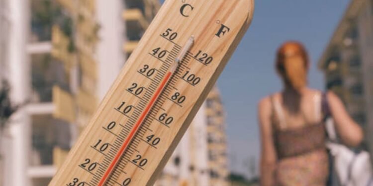 Europa registra 1.300 muertes adicionales por la ola de calor