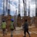Mano de obra haitiana domina el sector construcción en la RD